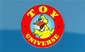 Toy Universe
